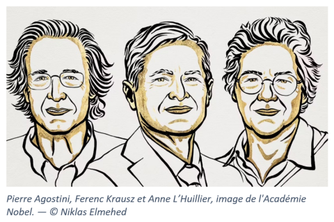 Académie Nobel - © Niklas Elmehed