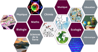 Formation continue & VAE | UFR Sciences